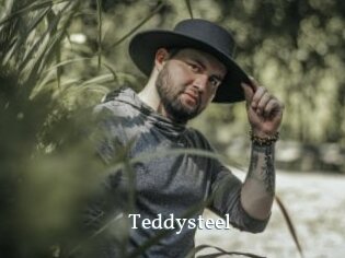 Teddysteel