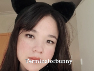 Terminatorbunny