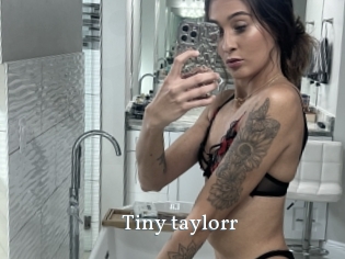 Tiny_taylorr