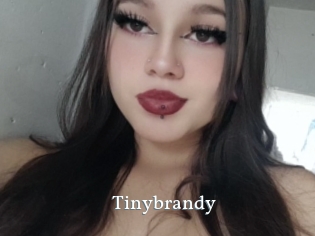 Tinybrandy