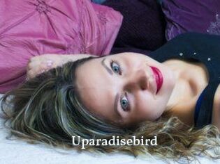 Uparadisebird