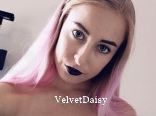 VelvetDaisy