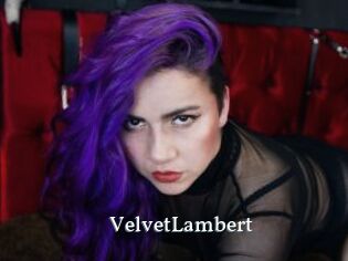 VelvetLambert