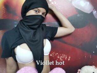 Viollet_hot