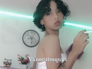 Vanecutesquirt