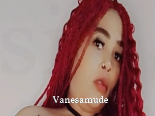 Vanesamude