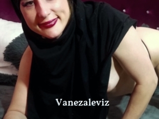 Vanezaleviz