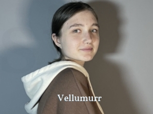 Vellumurr