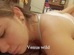 Venus_wild