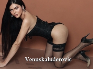 Venuskaluderovic