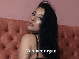 Venusmorgan