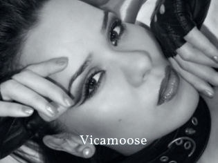 Vicamoose