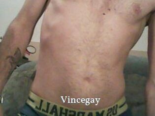 Vincegay