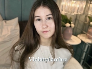 Violettalambre