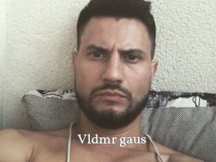 Vldmr_gaus