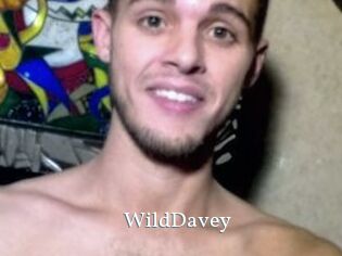 WildDavey