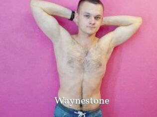 Waynestone