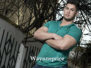 Waynneprice