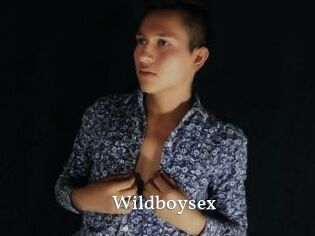 Wildboysex