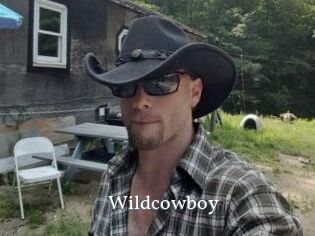 Wildcowboy