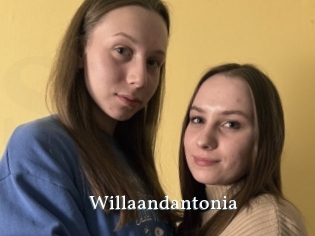 Willaandantonia