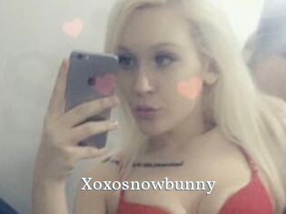 Xoxosnowbunny