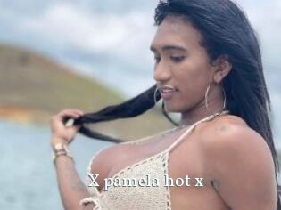 X_pamela_hot_x