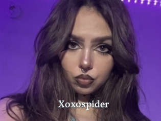 Xoxospider