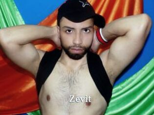 Zevit